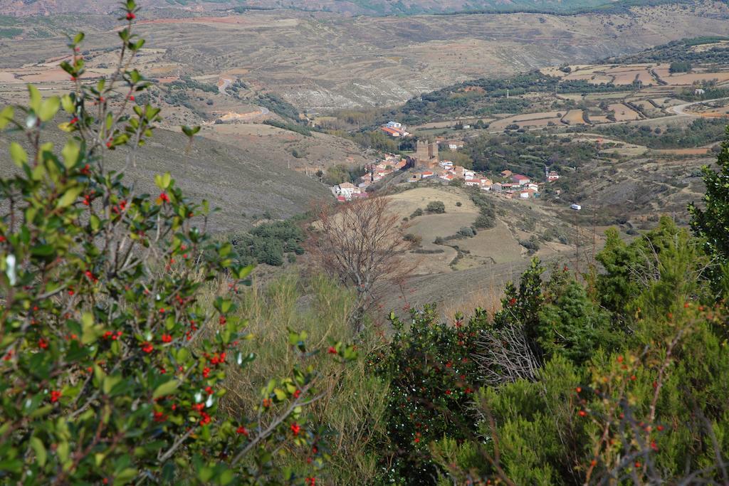 Vivienda Turistica Los Mesones Agreda Ngoại thất bức ảnh